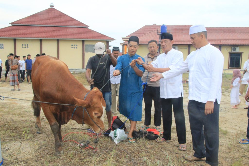 Polres Pringsewu Gelar Ibadah Sholat Idul Adha dan Penyembelihan Hewan Qurbaninstruksi.co.id,Pringsewu- Polres Pringsewu menggelar rangkaian kegiatan perayaan Idul Adha di Mapolres Pringsewu pada Senin (17/6/2024). Acara dimulai dengan pelaksanaan ibadah sholat Idul Adha yang dihadiri oleh anggota kepolisian, keluarga besar Polres Pringsewu, dan masyarakat sekitar.

Sholat Idul Adha dilaksanakan dengan khidmat, dipimpin oleh imam KH Hasim Azhari selaku Pengasuh Ponpes Al As-Syariah Ambarawa. Dalam khotbahnya, sang khatib mengajak seluruh jamaah untuk meneladani ketakwaan dan keikhlasan Nabi Ibrahim AS dan Nabi Ismail AS dalam menjalankan perintah Allah SWT.

Setelah sholat Idul Adha, kegiatan dilanjutkan dengan penyembelihan hewan qurban di area Mapolres Pringsewu. Tahun ini, Polres Pringsewu menyembelih hewan qurban yang terdiri dari dua ekor sapi dan delapan ekor kambing. Proses penyembelihan dilakukan sesuai dengan syariat Islam dan melibatkan panitia qurban yang sudah ditunjuk sebelumnya.

Wakapolres Pringsewu Kompol Robi Bowo Wicaksono menyampaikan rasa syukur dan terima kasih kepada seluruh anggota Polres dan masyarakat yang telah berpartisipasi dalam kegiatan sholat idul adha dan qurban ini. Beliau menekankan pentingnya semangat memupuk ketaqwaan dan berbagi kepedulian terhadap sesama, terutama kepada mereka yang membutuhkan.

"Dengan semangat Idul Adha, kita berharap dapat meningkatkan kebersamaan dan kepedulian sosial di tengah-tengah masyarakat. Semoga daging qurban yang kita bagikan dapat memberikan manfaat dan kebahagiaan bagi penerimanya," ujar Kompol Robi.

Menurut Robi daging qurban nantinya akan didistribusikan kepada masyarakat yang kurang mampu di sekitar Polres Pringsewu. Kegiatan ini diharapkan dapat mempererat tali silaturahmi dan memperkuat hubungan antara Polres Pringsewu dengan masyarakat setempat.(hikmah*)