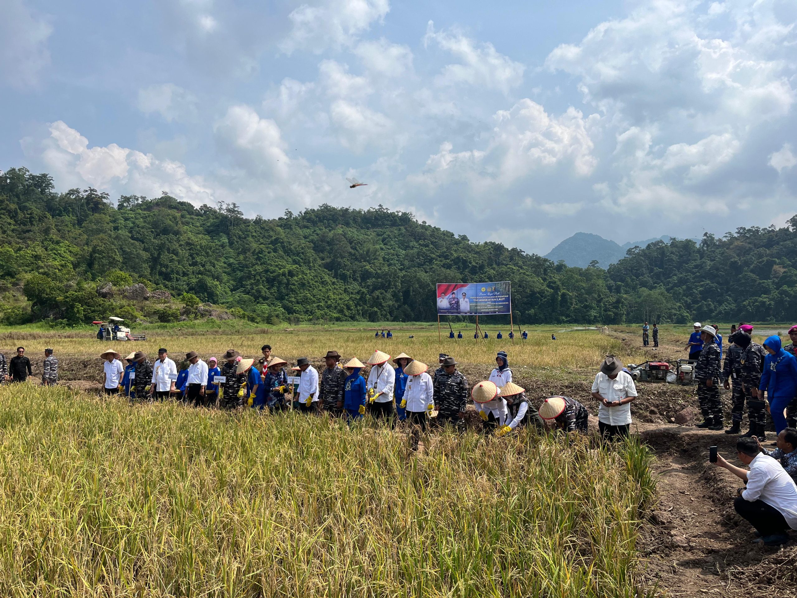 instruksi.co.id,Lampung – Mewakili Komandan Korem 043/Gatam Brigjen TNI Rikas Hidayatullah, S.E., M.M., Kasrem 043/Gatam Kolonel Inf Enjang, S.I.P., M.Han., Rabu (10/07/2024) menghadiri sekaligus mendampingi Wakasal Laksamana Madya TNI Erwin S. Aldedharma beserta Wakil Ketua Umum Jalasenastri Ny. Ketty Erwin S. Aldedharma serta Menteri Pertanian (Mentan) Republik Indonesia Andi Amran Sulaiman, yang akan melaksanakan Panen Raya dan peresmian Masjid AL-Hafizhan di kompleks Markas Komando Lanal Lampung. Sebelum melaksanakan Panen Raya, Wakasal dan Mentan RI beserta rombongan melaksanakan peninjauan budidaya magot, peninjauan greenhouse budidaya melon dan peninjauan keramba jaring apung budidaya ikan bawal bintang, Wakasal dan Mentan RI, juga menerima paparan program Ketahanan Pangan dari Danlanal Lampung di Makolanal Lampung. Selanjutnya Wakasal dan Mentan RI, beserta rombongan menuju lokasi Panen Raya untuk melaksanakan panen padi dan jagung serta penanaman padi jenis inpari 32 dan jagung NK sumo di lahan pertanian Lanal Lampung, dilanjutkan dengan peresmian Masjid AL-Hafizhan, shalat dzuhur berjamaah, foto bersama dan ramah tamah. Selain dihadiri para pejabat utama TNI AL, kegiatan tersebut juga dihadiri Tenaga Ahli Kementan RI, Tenaga Ahli Profesional Kementan RI, Pj. Gubernur Lampung beserta Istri, Ketua Komisi IV DPR RI, Forkopimda Provinsi Lampung dan Para Kepala Dinas terkait.(Suhartono/rls)