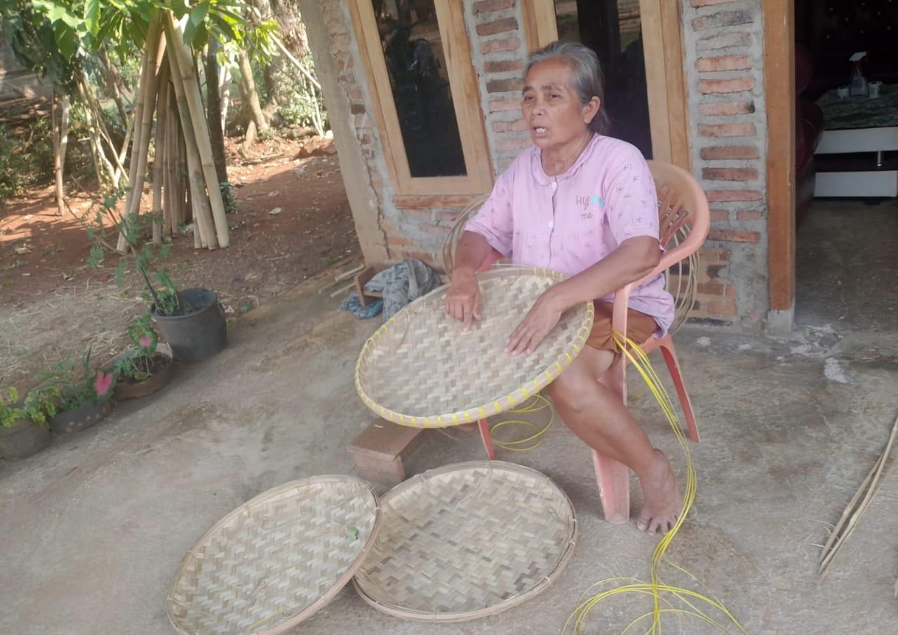 instruksi.co.id, Pringsewu - Ibu Tuti Salah seorang warga yang menekuni kerajinan tangan yang dengan bahan bakunya dari bambu, warga pekon Kediri Kecamatan Gading Rejo Kabupaten Pringsewu ini telah menekuni pekerjaannya ini sejak dari tahun 1995 lalu. Tentu ini juga sebagai penopang perekonomian keluarga mereka. Rabu 14 Agustus 2024. Kerajinan tangan yang dibuat oleh Ibu Tuti ini adalah Tampah, Tampah merupakan salah satu alat tradisional untuk membersihkan atau untuk menampi. Tampah ini pada jaman dahulu sangatlah digunakan seperti untuk membersihkan atau menampi beras, biji kopi, biji kacang atau untuk wadah menjemur bahan bahan makanan khusus lainya. Membuat sebuah tampah ini sendiri memerlukan keahlian yang khusus, sabar dan telaten karena tentunya bahan baku yang digunakan adalah bambu dimana bambu ini kulit atau sembilunya tajam. Biasanya untuk membuatnya menggunakan  seruas bambu dengan jenis khusus, mereka membelah nya sedemikian rupa hingga menjadi bilah bilah untuk di anyam menjadi sebuah tampah. Saat berbincang di kediamanya Ibu Tuti menceritakan bahwa beliau mulai menekuni kerajinan tangan membuat tampah ininsudah cukup lama. “Saya mulai belajar membuat kerajinan tangan tampah ini memang sudah cukup lama, seingat saya sekitar saat itu masih remaja atau gadis,  dan sejak itu juga saya sudah mampu membuat tampah dan mulai menekuni atau saya jadikan usaha untuk menambah penghasilan perekonomian samapai saat ini, berarti kurang lebih sudah sekitar 30 tahun usaha membuat tampah ini. Ya alhamdulillah dengan keahlian pengrajin tangan yang saya miliki dapat membantu untuk ekonomi keluarga,"ujar Tuti. Menurutnya Ia bisa membuat tampah ini dalam satu hari itu 2 sampai 3 buah tampah. "Biasanya untuk membuat tampah ini dalam satu hari itu saya bisa membuat 2 sampai 3 buah tampah, biasanya juga yang rame pesanan itu saat musim panen padi kadang kita kualahan juga dari bahan bambu nya, karena agak sulit mendapatkan bambunya, terkadang kitaharus memesan dulu bambu tersebut,"ujarnya. "Nah kalau untuk penjualan atau pemasaranya kita suadah ada yang menampung atau pengepulnya, biasanya mereka datang itu seminggu 2 kali untuk mengmbil hasil dari kerajinan tangan tampah ini. Namun demikian saya sangat berharap juga pada pemerintahan pekon Kediri  ataupun pemerintah kabupaten Pringsewu dapat memperhatikan kami, para pengerajin bambu ini. Selain saya membuat tampa ini juga masih banyak di pekon pekon lain kabupaten Pringsewu ini para pengerajin-pengerajin tangan berbahan bambu di Pringsewu ini yang butuh sentuhan atau perhatian pemerintah terkait. Melihat dari keuletan, keahlian dan kegigihan Ibu Tuti salah satu pengrajin tangan berbahan bambu di pekon Kediri ini tentunya kita sebagai warga Pringsewu dengan icon bambu seribu patut berbangga karena mereka juga terus melestarikan membuat alat tradisional Tampah berbahan baku bambu. Juga kiranya pemerintah kabupaten dengan dinas terkaitnya dapat kembali melestarikan atau menggalakan penanaman pohon bambu selain sebagai icon Kabupaten Pringsewu juga pastinya ada banyak manfaatnya untuk warga masyarakat. (Hikmah)