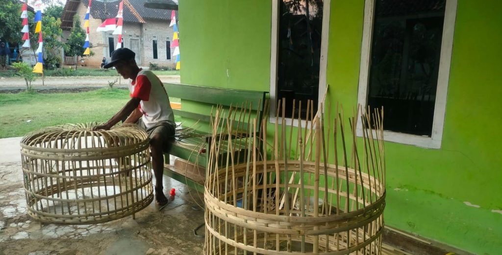 instruksi.co.id, - Sebagai wilayah administrasi yang dikenal dengan basis pengrajin bambu. Masyarakat di Pekon Kediri, Kecamatan Gadingrejo, KabupatenKerajinan, selama ini menjadikan usaha kerajinan bambu seperti kurungan ayam, tampah, besek dan irik sebagai sumber pendapatan tambahan keluarga.

Usaha ini sejatinya sudah puluhan tahun mereka geluti, hingga sebagian menjadi usaha turun temurun.

Adalah Mbah Saring, warga di RT 02 Dusun Kediri II, Pekon Kediri. Ia mengaku, menggeluti kerajinan bambu (membuat kurungan ayam) sudah sejak puluhan tahun.

"Kalau bambunya dapat beli, dari Desa Roworejo, Kecamatan Negeri Katon, Pesawaran. Harganya 6 ribu per batang", jelas Mbah Saring didampingi sang istri Mbah Turni, Rabu (21/08/2024).

Dari tiga (3) batang bambu tali yang sudah di potong dan dibelah menjadi beberapa bagian sebut Mbah Saring, setelah diproses akan menghasilkan dua (2) kurungan ayam.

"Ya, lumayan mas, untuk usaha sampingan. Apalagi sekarang saya sudah gak garap sawah lagi", ungkap Mbah Saring disela-sela njejet kurungan ayam bambu.

Ada beragam ukuran kurungan ayam yang dibuat oleh Mbah Saring. Mulai dari yang nomer 1 dengan diameter 2,75, dan ukuran nomer dua dengan diameter 2,25 centimeter.

"Untuk yang ukuran nomer satu, pengepul menerima dengan harga 30 ribu. Sementara untuk yang diameter 2,25 atau nomer dua, harganya 25 ribu", sebut Mbah Saring.

Membuat kurungan ayam dari bambu tali memang memiliki tingkat kesulitan masing-masing. Tergantung dari besaran diameter lingkaran kurungan yang akan dibuat. (Hikmah/Ful)