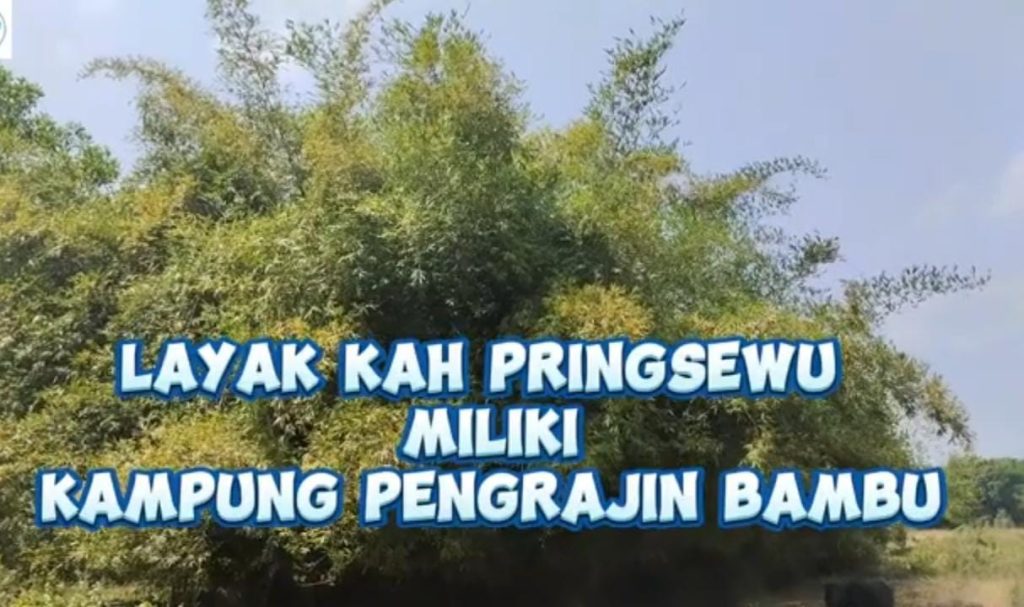 instruksi.co.id, Pringsewu - Gerakan penanaman bambu yang diprakarsai oleh Penjabat Bupati Pringsewu, Marindo Kurniawan, melalui surat edaran bernomor 031/630/U.06/2024, semakin mendapat perhatian. Inisiatif ini tidak hanya sekadar ajakan, melainkan sebuah seruan untuk membangun kesadaran kolektif masyarakat akan pentingnya bambu bagi lingkungan dan ekonomi lokal.Syaifullah, Ketua Jaringan Media Siber Indonesia (JMSI) Pringsewu, mengungkapkan bahwa bambu merupakan ikon dan ciri khas daerah tersebut. Di Kecamatan Gadingrejo, tanaman ini telah menjadi bagian integral dari kehidupan masyarakat, khususnya dalam aspek ekonomi.

Dalam penjelasannya, Syaifullah menyebutkan bahwa pengolahan bambu menjadi berbagai produk perabotan rumah tangga berpusat di tiga pekon, yaitu Kediri, Mataram, dan Tulung Agung. "Di Pekon Tulung Agung, sekitar 90 persen warga menggantungkan hidup dari usaha pengayaman bambu," terangnya.

Meskipun demikian, pasokan bambu yang diperlukan oleh para pengrajin di Gadingrejo saat ini masih bergantung pada pasokan dari luar daerah. "Mereka harus membeli bambu dari Pujorahayu dan Roworejo di Kabupaten Pesawaran," imbuh Syaifullah, yang juga meraih juara kedua dalam lomba artikel bertajuk "Membangun Pringsewu dari Bambu."

Situasi ini, menurutnya, mengindikasikan perlunya penanaman bambu di daerah Pringsewu. Jika tidak segera dilakukan, ada risiko pasokan bambu akan semakin menipis, yang tentunya akan berdampak buruk pada perekonomian lokal.

Syaifullah juga melihat peluang bagi masyarakat Pringsewu untuk membuka lahan atau perkebunan bambu. Tanaman ini, selain tidak memerlukan perawatan yang rumit, juga memiliki nilai ekonomis yang tinggi. "Bambu bisa menjadi peluang usaha yang menjanjikan," katanya.

Lebih jauh, Syaifullah menekankan bahwa kesadaran kolektif untuk kembali menanam bambu sangat penting. Bambu memiliki banyak manfaat, salah satunya adalah kemampuannya untuk menyimpan air, yang sangat berharga di musim kemarau.

Keberadaan bambu juga berperan dalam penghijauan dan perlindungan lingkungan. Dengan akar serabutnya, bambu mampu mencegah erosi tanah dan menjaga kesuburan lahan. "Mari kita awali gerakan ini dari diri kita sendiri dengan menanam bambu di lahan-lahan yang tersedia," ajak Syaifullah.

Kampanye Bambunisasi ini bukan hanya soal penanaman, tetapi juga pendidikan. Masyarakat perlu diedukasi tentang manfaat bambu dan teknik penanaman yang tepat. "Dengan pengetahuan yang baik, kita bisa memaksimalkan potensi bambu sebagai sumber daya alam yang berkelanjutan," tambahnya.

Bentuk dukungan dari berbagai pihak, termasuk pemerintah dan masyarakat, akan sangat berpengaruh dalam kelangsungan gerakan ini. Kerjasama antar stakeholder diharapkan bisa meningkatkan hasil dari penanaman bambu.

Melalui gerakan ini, diharapkan masyarakat Pringsewu akan lebih menghargai keberadaan bambu dan memahami pentingnya menjaga keberlanjutannya untuk generasi mendatang. Mari bersama-sama menyukseskan Bambunisasi untuk masa depan yang lebih baik.(instruksi/*)
